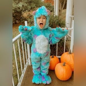 Pottery BaRn Sully Costume